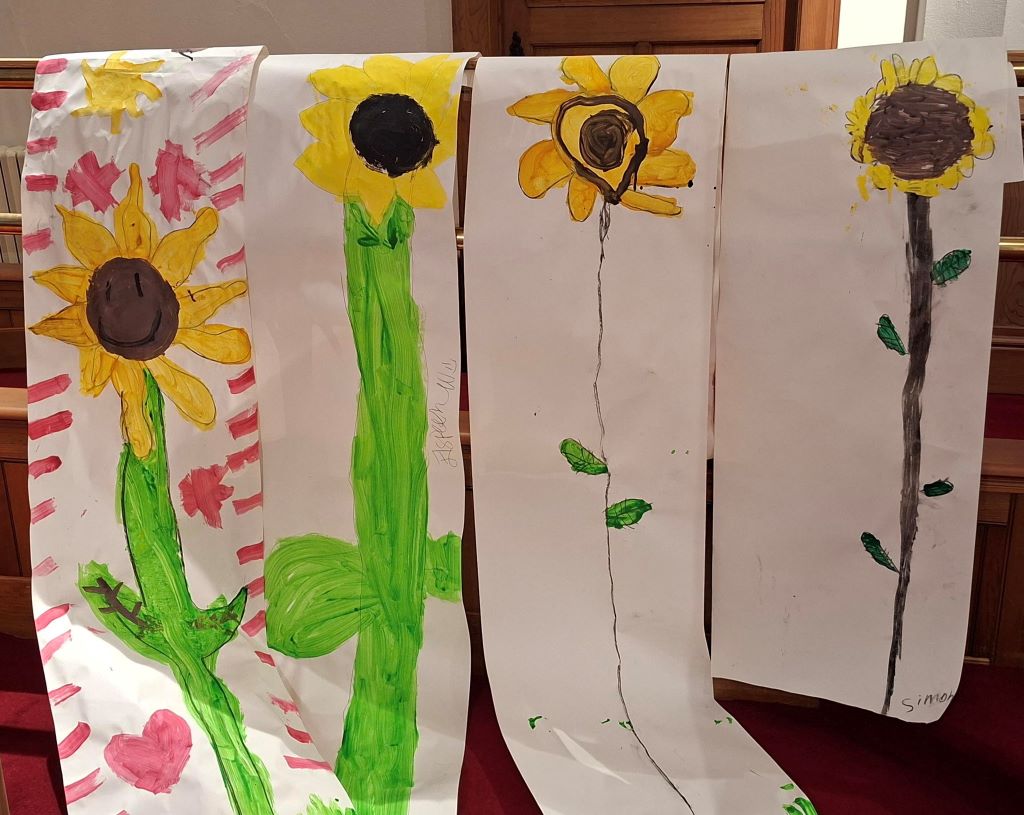 Young Church sunflowers